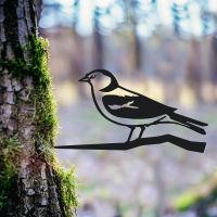 Chaffinch Tree Spike in Situ