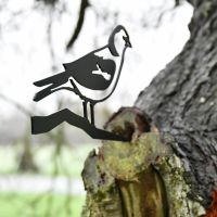 Chaffinch Tree Spike in Tree