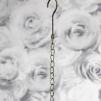 Close-up of the Top of the Chain Close-up of the Top of the Chain