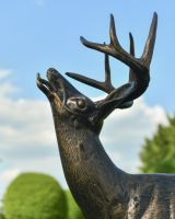 Close up of buck head detail on stag garden sculpture Close up of buck head detail on stag garden sculpture