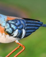 Charming House Sparrow Steel Bird Sculpture close up tail