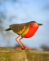 Charming Robin Steel Bird Sculpture Right Facing