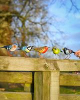 Charming set of five bird sculptures left facing