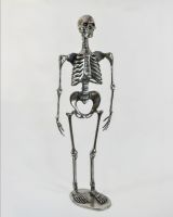 Chrome Skeleton Ornament