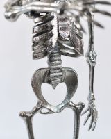Close up of Chrome Skeleton Torso