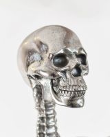 Chrome Skeleton Skull Close up