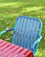 Close up of Chrysolina Chair Back