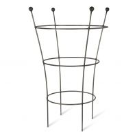 Circular Plant Support in Situ Created From Steel Circular Plant Support in Situ Created From Steel