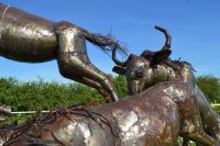 "Buckenall" Sculpture of Leaping Whitetail Wildebeests