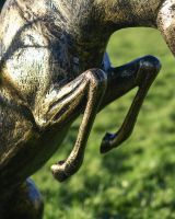 Close-up of the Legs on the Aluminium Rutting Stag Close-up of the Legs on the Aluminium Rutting Stag