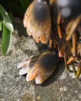 Close up of foot detail on steel garden sculpture Close up of foot detail on steel garden sculpture