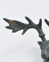 Close up of intricate antler detail on animal bust on verdigris coat hook Close up of intricate antler detail on animal bust on verdigris coat hook