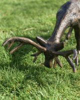 Close Up Of Brushed Bronze Grazing Stag Garden Sculpture