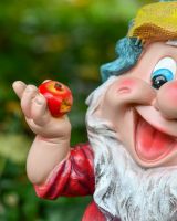 Close up of apple detail on colourful garden gnome