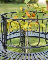 Close up of detailing on seat back Close up of detailing on seat back