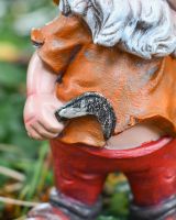 Close up of gardening detail on colourful gnome ornament Close up of gardening detail on colourful gnome ornament