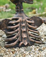 Close up of rib and body detail on half skeleton garden sculpture
