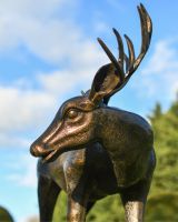Close Up Of "Magnus" Buck Sculpture In Situ 