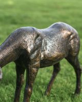 Close up of brushed bronze stag sculpture 