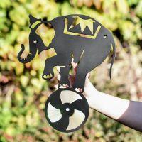 Close Up Of CD Elephant On Ball