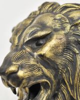 Close up of intricate detail on lion face on animal head wall bust