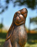 Close up of face detail on rabbit garden statue