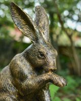 Close up of intricate face detail on hare garden statue