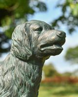Close up of intricate face detail on dog garden statue Close up of intricate face detail on dog garden statue