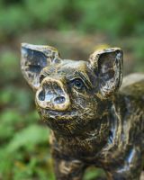 Close up of intricate face details on pig garden statues