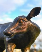 Close Up Of Doe Sculpture  Close Up Of Doe Sculpture