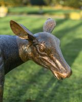 Close Up Of Doe Sculpture  Close Up Of Doe Sculpture