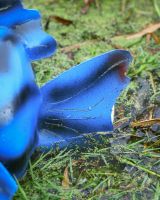 Close up of intricate detail on anglerfish fin detail on outdoor garden sculpture