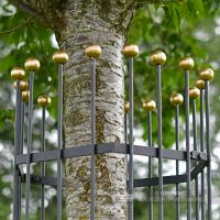 Close Up of Heavy Duty Iron Tree Guard