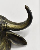 Close up of horn detail on buffalo head wall bust