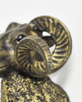 Close up of intricate horn detail on animal wall bust