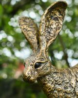 Close up of intricate face detail on gold hare sculpture