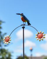 Close Up of Kingfisher On Spike Close Up of Kingfisher On Spike