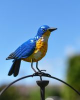 Close Up of Metal Bluebird 
