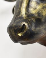 Close up of gold muzzle detail on buffalo head wall bust