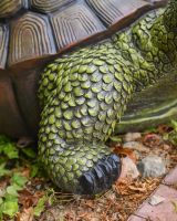 Close up of the Detailing on the Legs of "Terrence" the Tortoise Fibreglass Garden Ornament Close up of the Detailing on the Legs of "Terrence" the Tortoise Fibreglass Garden Ornament