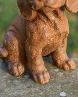 Close Up Of Cast Iron "Adorable Sitting Dog" Garden Sculpture Close Up Of Cast Iron "Adorable Sitting Dog" Garden Sculpture