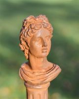 Close up Of Rustic "Roman Bust" Garden Sculpture 