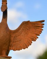 Close Up of Rustic Goose Wing Close Up of Rustic Goose Wing