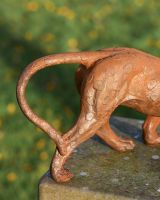 Close Up of Rustic Leopard Tail Garden Sculpture