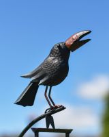 Blackbird on Rocking Ground Spike 