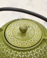 Close up of Green and Silver Lid and Handle 