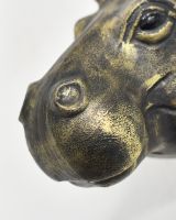 Close up of snout detail on gold hippopotamus head wall bust