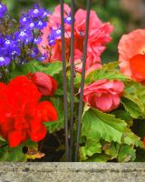 Close up of stake detail on "River" Triple Suncatcher Garden Stake