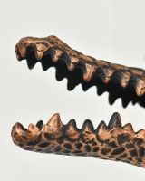 Close up of intricate teeth detail on copper animal wall bust