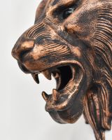 Close up of intricate face and teeth detail on copper safari animal head wall bust